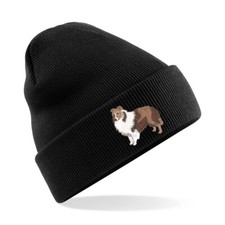 Shetland Sheepdog Dog Premium