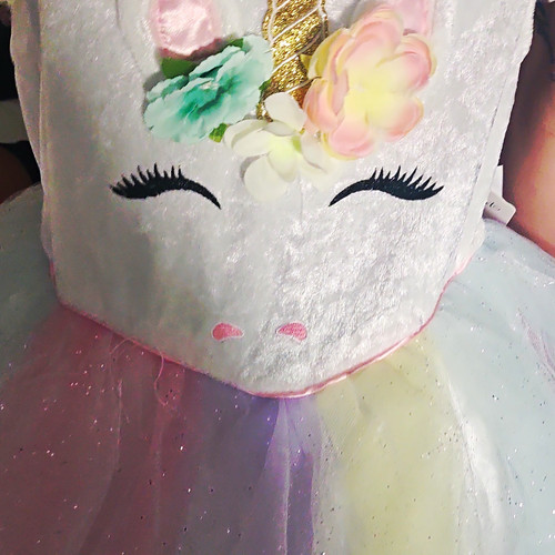 Gillian closet unicorn tulle - closet,