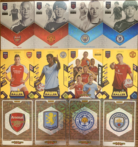 Panini adrenalyn wsl womens - panini, xl