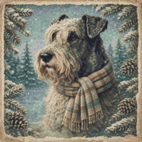 Cesky terrier puppy - puppy, dog