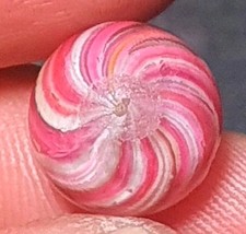 1/2"+ Gorgeous Tiny Hot Pink