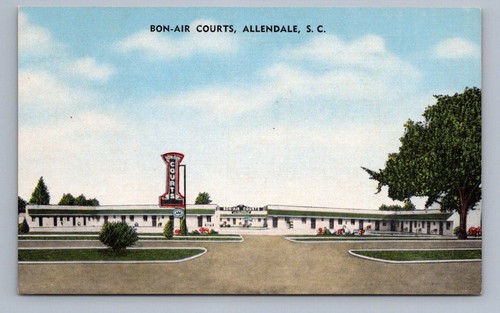 Vintage south carolina - vintage,