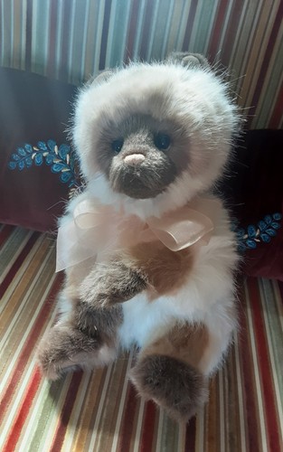 Charlie bears precious cat - bears,