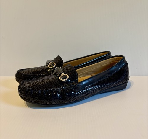 Van dal ashfield navy - van,