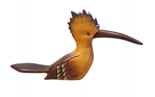Knysna birds africa - knysna,