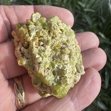 Pyromorphite Crystal Cluster