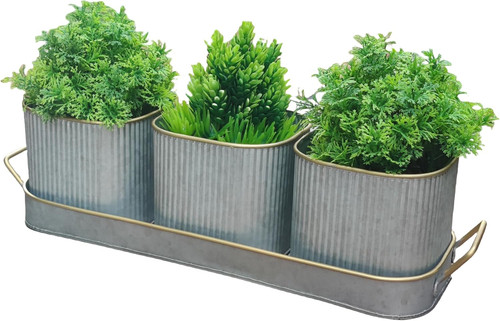Set windowsill herb plant - set, of