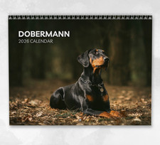 Dobermann Calendar 2026