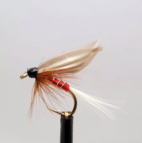Red spinner wet fly - x,