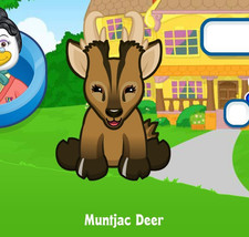 Webkinz Classic Muntjac Deer