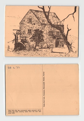 Postcard felin geri water - felin,