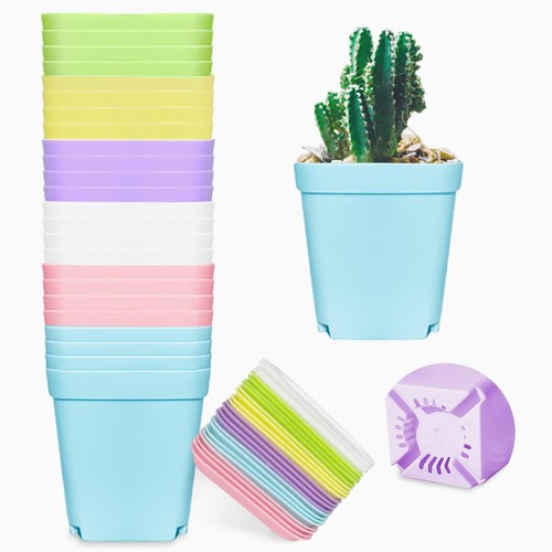 Pack multicolor square - pack,
