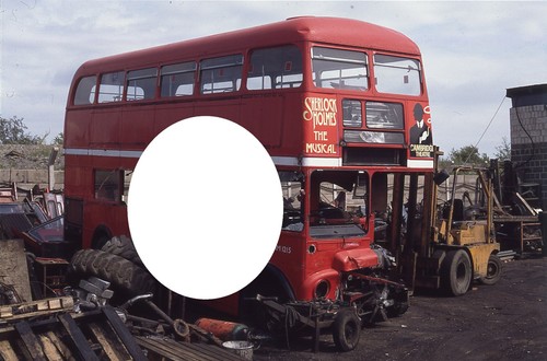 London transport bus - london, colour