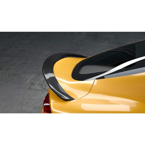 Style carbon fibre - mz, rear