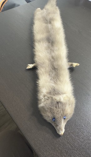 Vintage fur stole