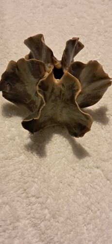 Unusual quirky pottery marked - unusual,