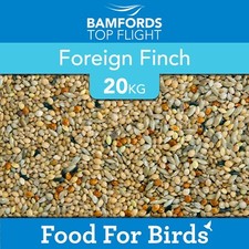 Bamfords foreign finch - bamfords,