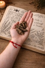 Master root hoodoo - root, hoodoo,