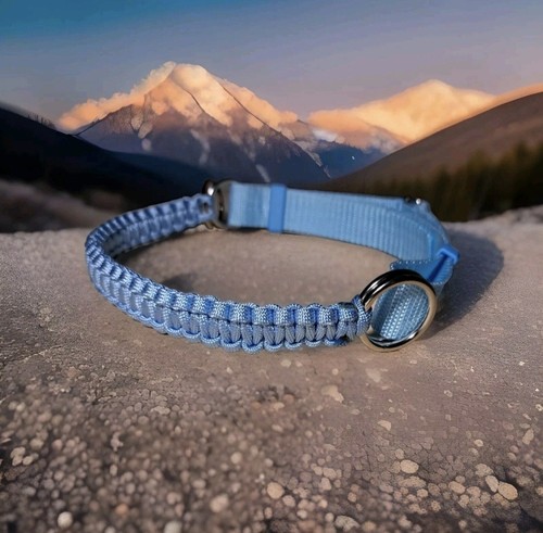 Bitless bridle attachment - , in
