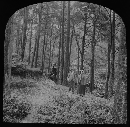 Edwardian group branksome - edwardian, in
