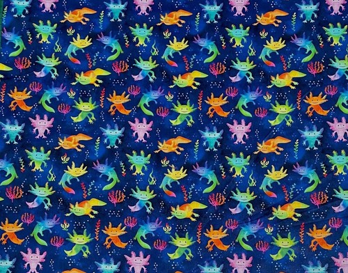 Axolotl amphibian salamander - amphibian,
