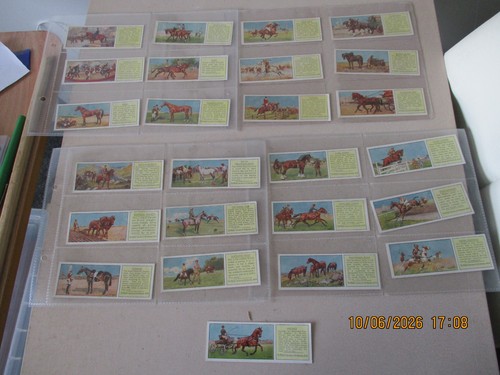 Typhoo horses 1935 full set - 1935,