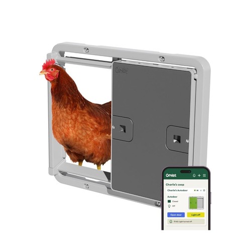 Chicken coop door opener - chicken,