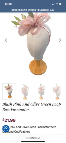 Blush pink olive green - blush,