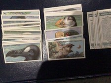 PLAYERS CIGARETTE CARDS-CURIOUS BEAKS-1929- PICK THE CARDS YOU REQUIRE