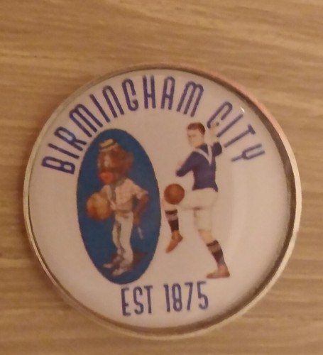 Retro birmingham city - city, pin