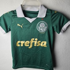 Palmeiras Home Puma Socxer