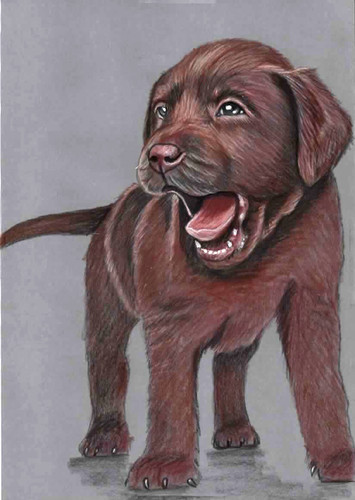 Original colored pencil