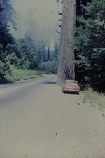 c1960's 35mm Slide Film Volvo
