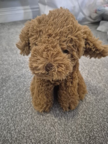 Little brown dog tesco - dog,