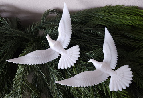 Friendship turtle dove - friendship,