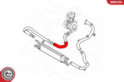For skv germany - skv, 24skv566