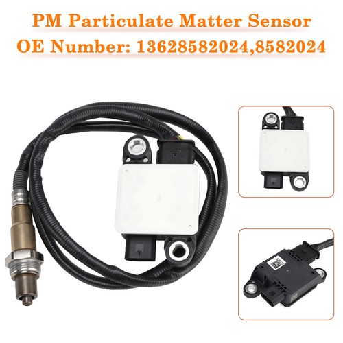 Particulate matter sensor - particulate,