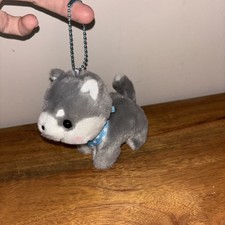Original Japanese AMUSE Shiba