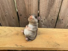 HAPPY MOUSE RAT SITTING Garden