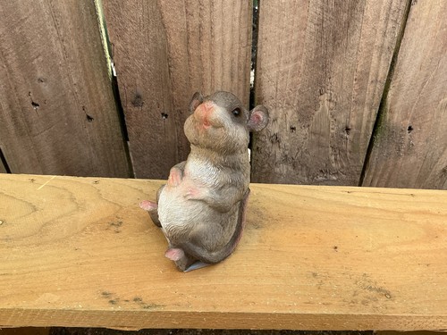 Happy mouse rat sitting garden - happy,