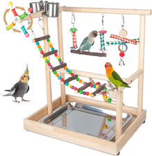 Small Bird Playground