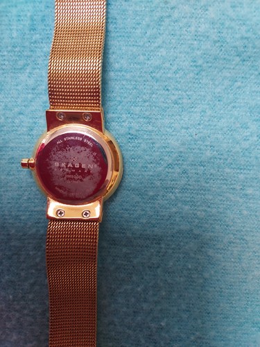 Skagen quartz ladies watch - skagen,