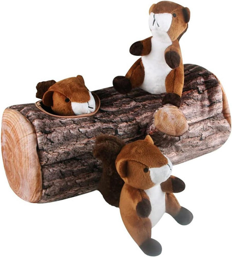 Squirrel hide and - squirrel, dog