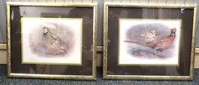 A PAIR OF Matching Framed Pheasant Prints