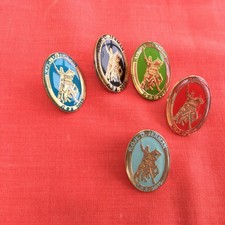 RAOB CHARITY BADGES D.JERMAN