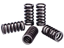 Derbi Senda SM X-Race 50 04-05 Malossi Reinforced Clutch Plate Spring Set