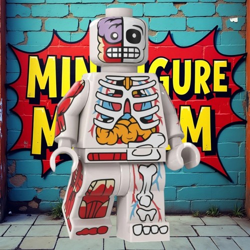 Anatomy guy custom - anatomy,