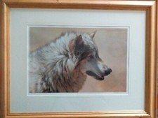 Carl Brenders  "Steadfast and Resolute" white wolf Limited Edition Print 216/650