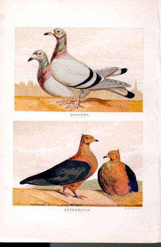 Original old antique - original,