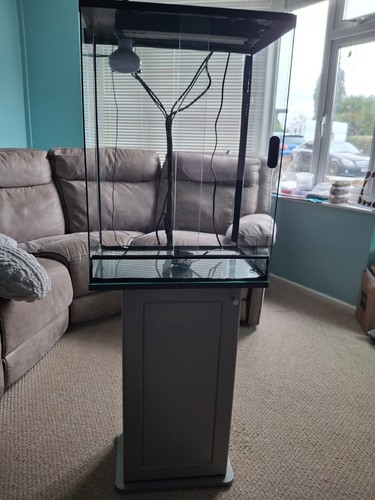 Glass vivarium and stand - and,